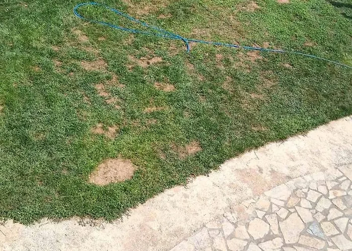 Apartamento Christalex *